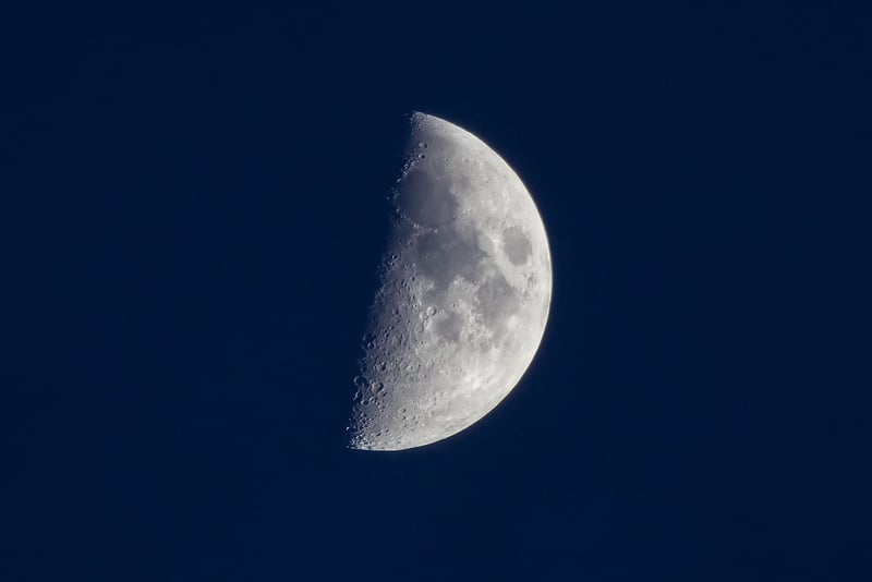 Lunar Love Songs